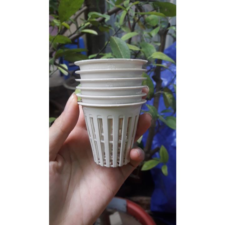 100 Rọ nhựa thủy canh trồng rau (cốc trồng rau)