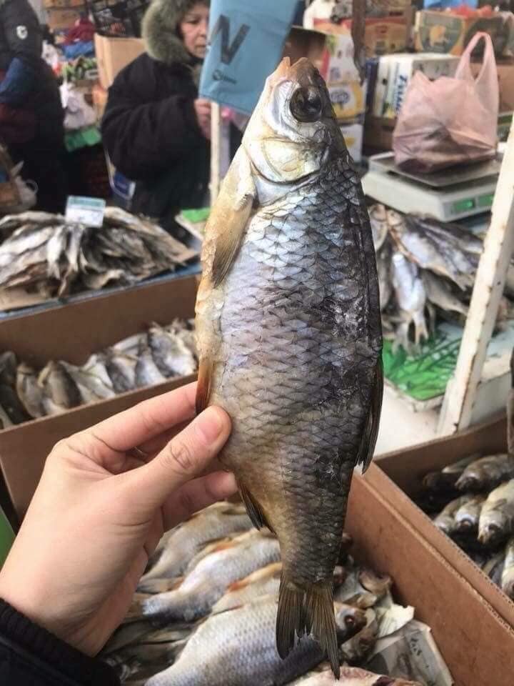 Cá khô Vobla Astrakhan ( 1kg tặng 1 lon bia Baltika 450ml)