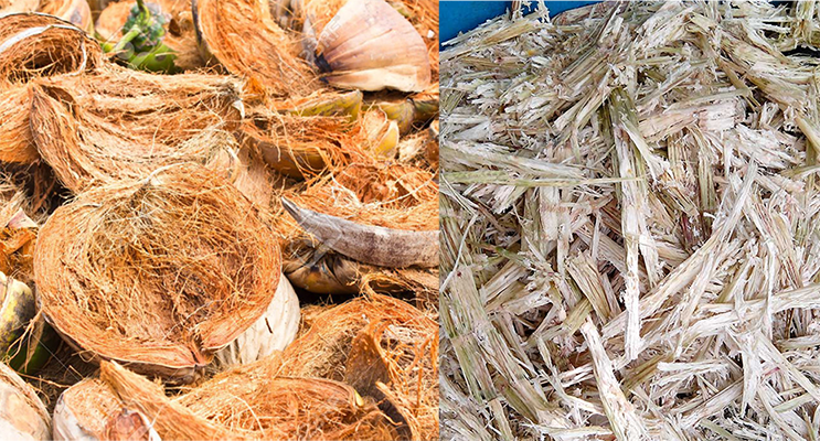 (Xanhshop22) SƠ DỪA MIẾNG DÙNG TRỒNG LAN 100G