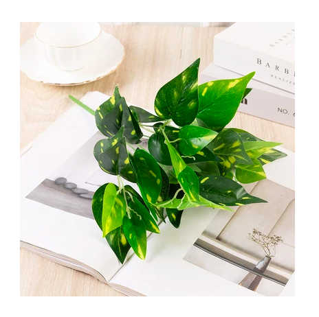 Cụm Cỏ Lá Trầu Bà Đốm Dài 20cm