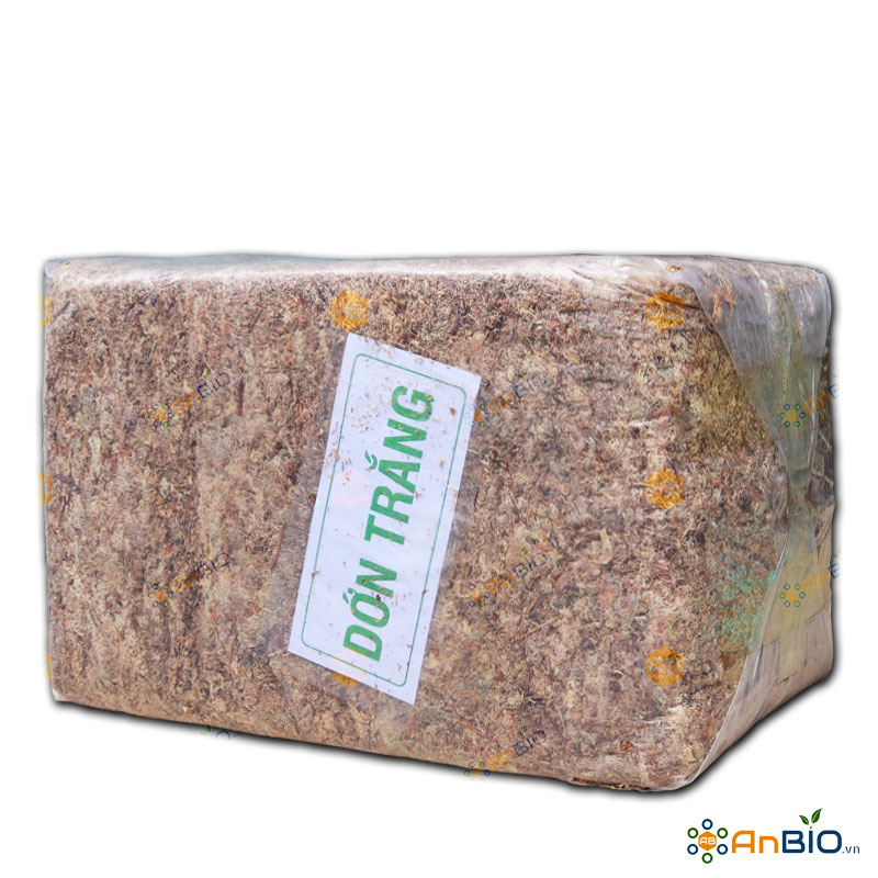 DỚN TRẮNG | KIỆN 5KG