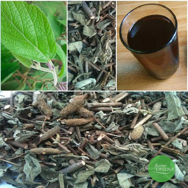 2kg Cây an xoa hỗ trợ về gan