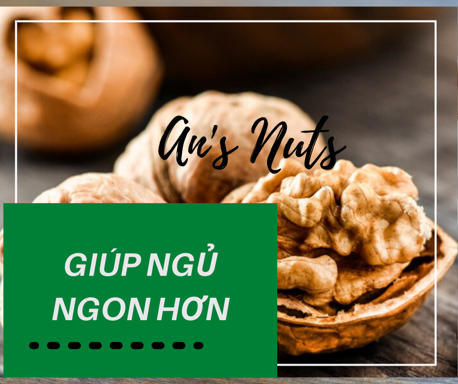 QUẢ ÓC CHÓ CAO CẤP LOẠI I- 500gr