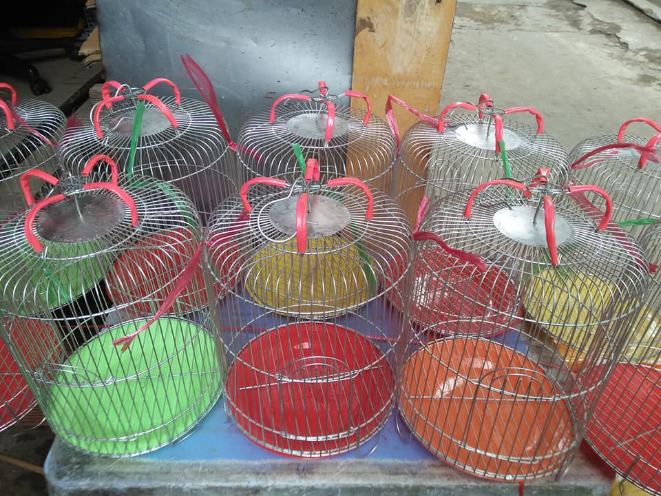 Lồng kẽm nuôi chim sâu