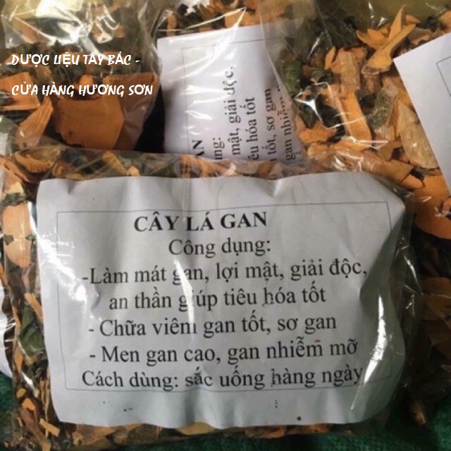 Cây lá mát gan - dược liệu tây bắc