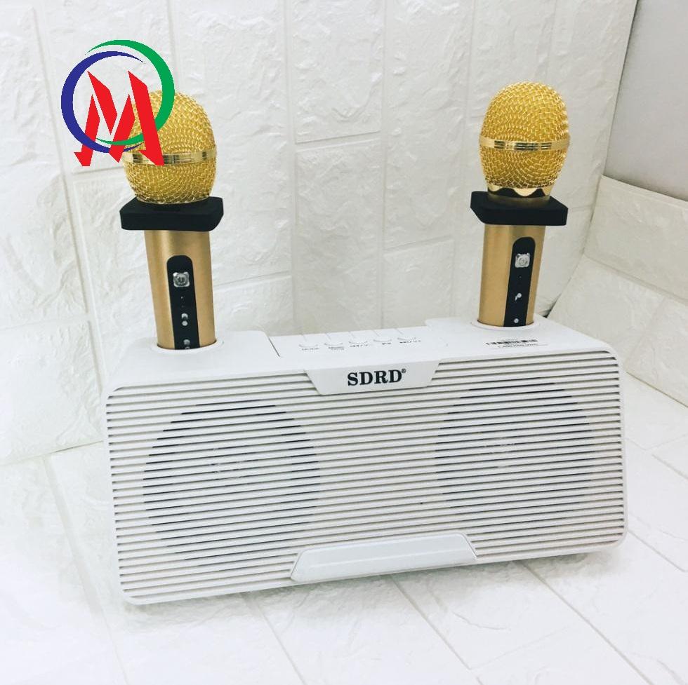 LOA KARAOKE BLUETOOTH SDRD SD-302 TẶNG 2 MIC KHÔNG DÂY SIÊU HAY
