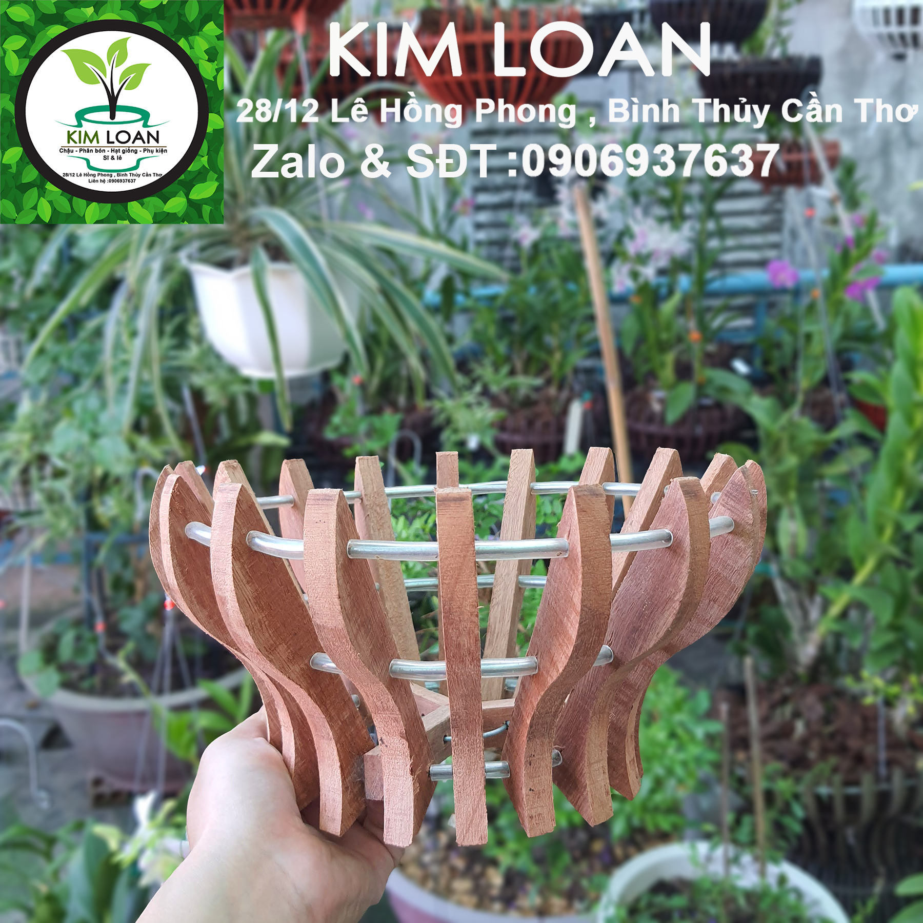 Chậu lan gỗ hình cốc