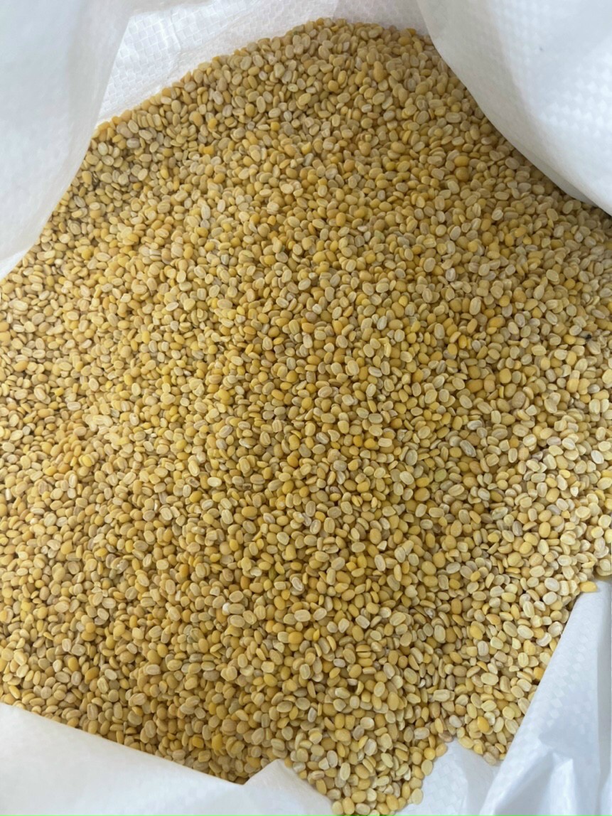 Đậu xanh cà TÁCH VỎ ORGANIC 1kg