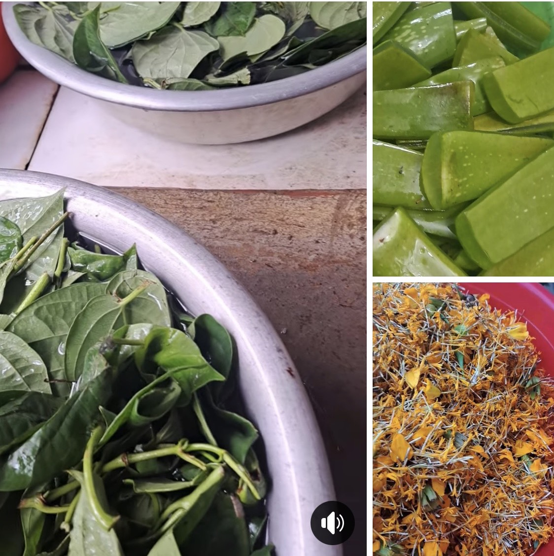 Dung Dịch Vệ Sinh Lá Trầu Không