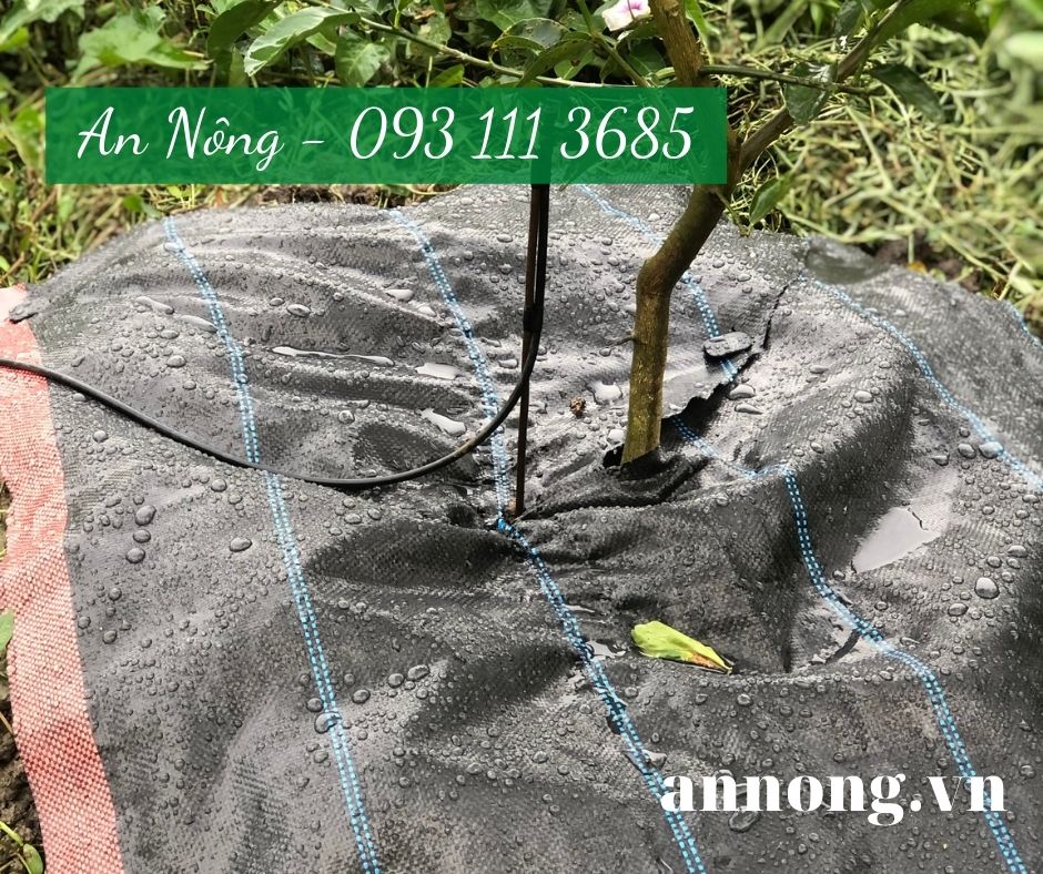 Combo 10 Tấm Bạt Phủ  Chống Cỏ 1.2M x 1.2M (Hàng Dày 120g, Tặng Kèm 5 Ghim/Tấm)