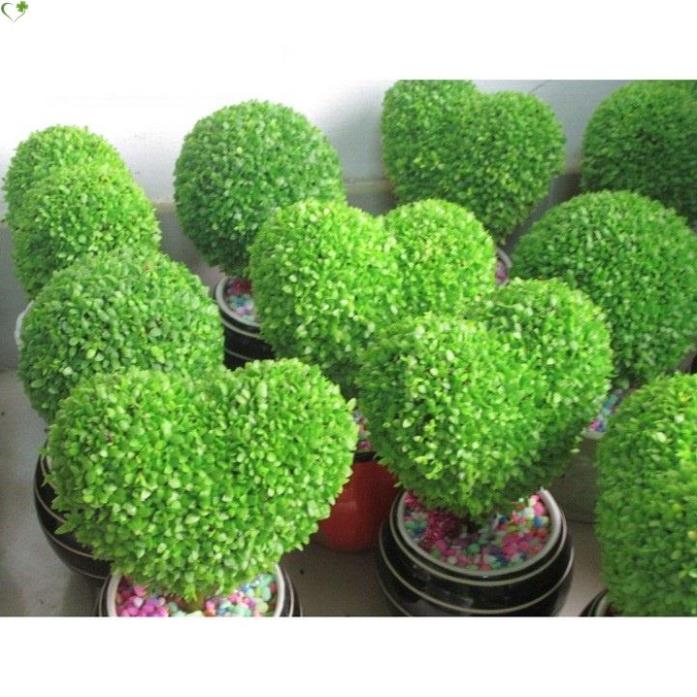 Phân hữu cơ vi sinh cao cấp Đầu Trâu TRICHODERMA+TE 1kg