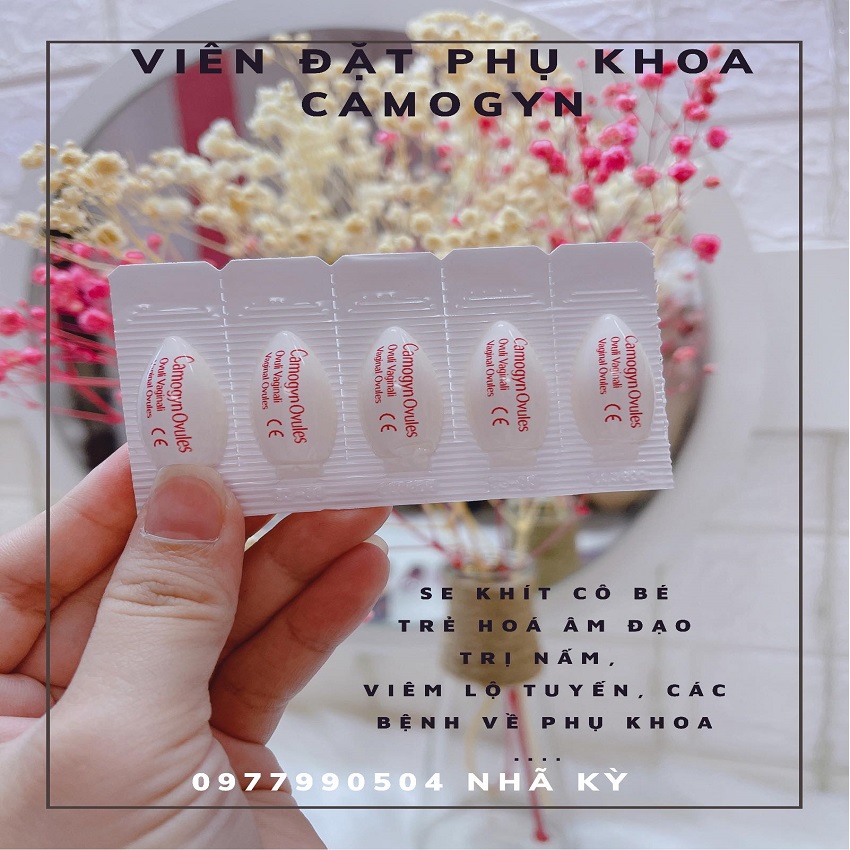 Viên đặt phụ khoa Camogyn hộp 10 viên