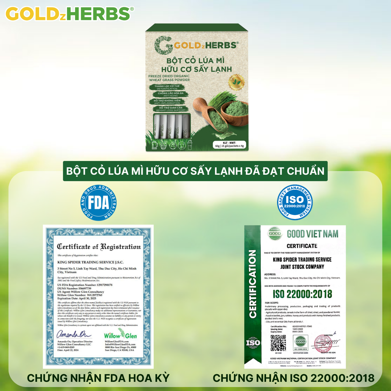 Bột cỏ lúa mì hữu cơ sấy lạnh GoldzHerbs, 100% nguyên chất - Hộp 15 gói x 4g