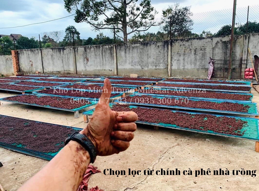TÚI THƠM HẠT CÀ PHÊ ROBUSTA TREO XE 100G