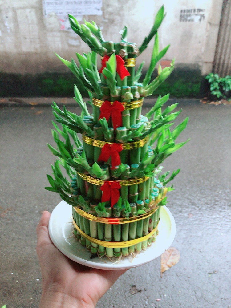 Trúc Phát Tài 5 Tầng Kèm Dĩa