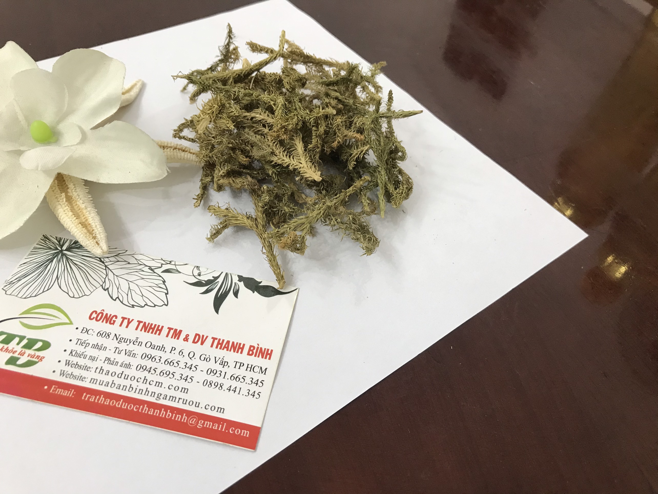 Cây Thông Đất Khô 1KG - Thảo Dược Thanh Bình