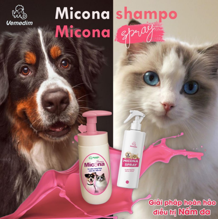 Xịt diệt nấm da cho chó mèo Micona Spray