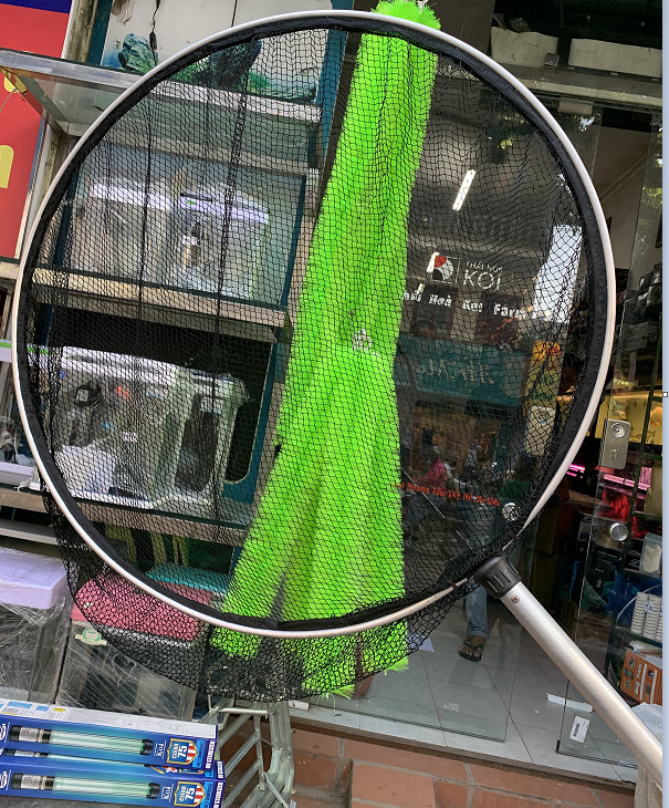 Vợt lùa cá Koi