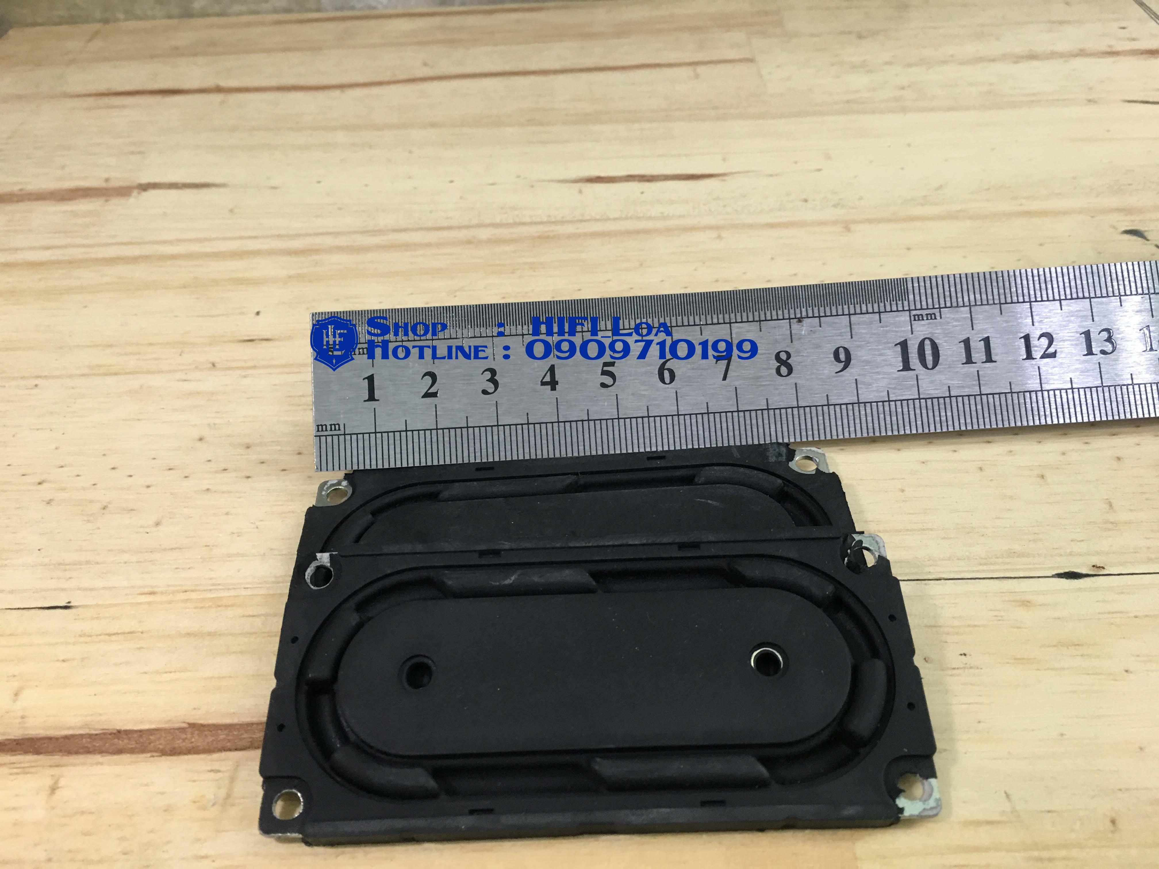 Loa Cộng Hưởng B.O.S.E Mini