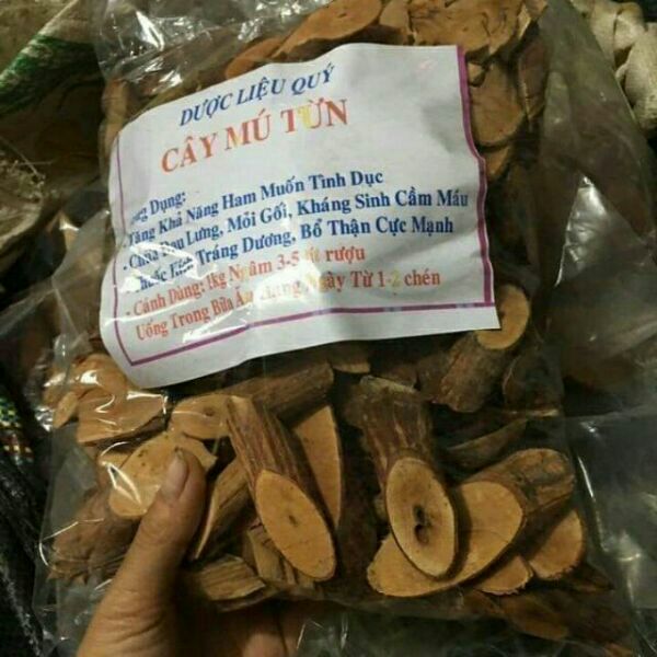 1kg cây mú từn