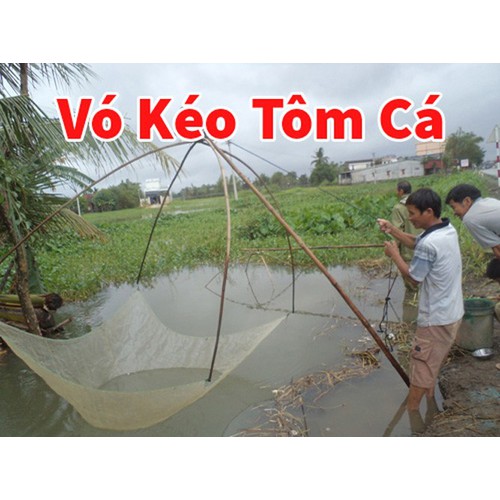 vó kéo tôm cá