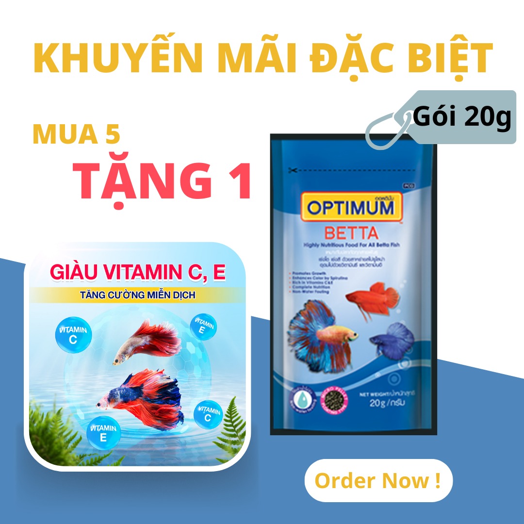 Thức ăn dinh dưỡng cho cá Optimum Betta chuyên dùng cho cá Betta (cá sim, cá đá..) - Gói 20g [xuất xứ: Thái Lan]