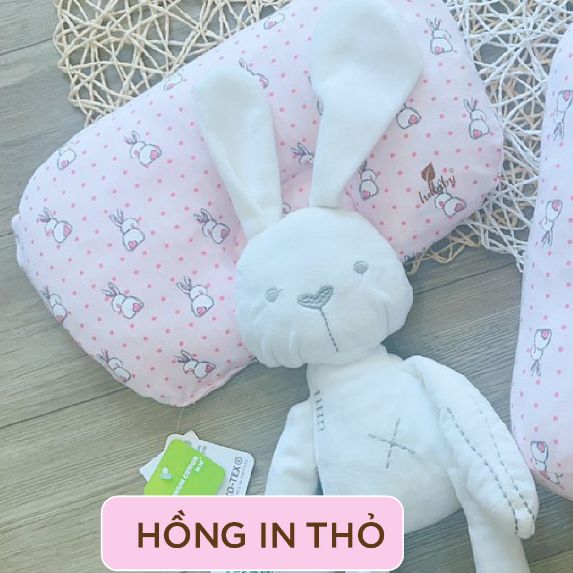 LULLABY - NH357M - Gối chống lõm