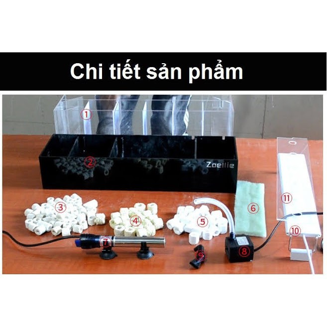 Bể cá betta 4 ngăn acrylic cao cấp có bộ lọc đáy bể