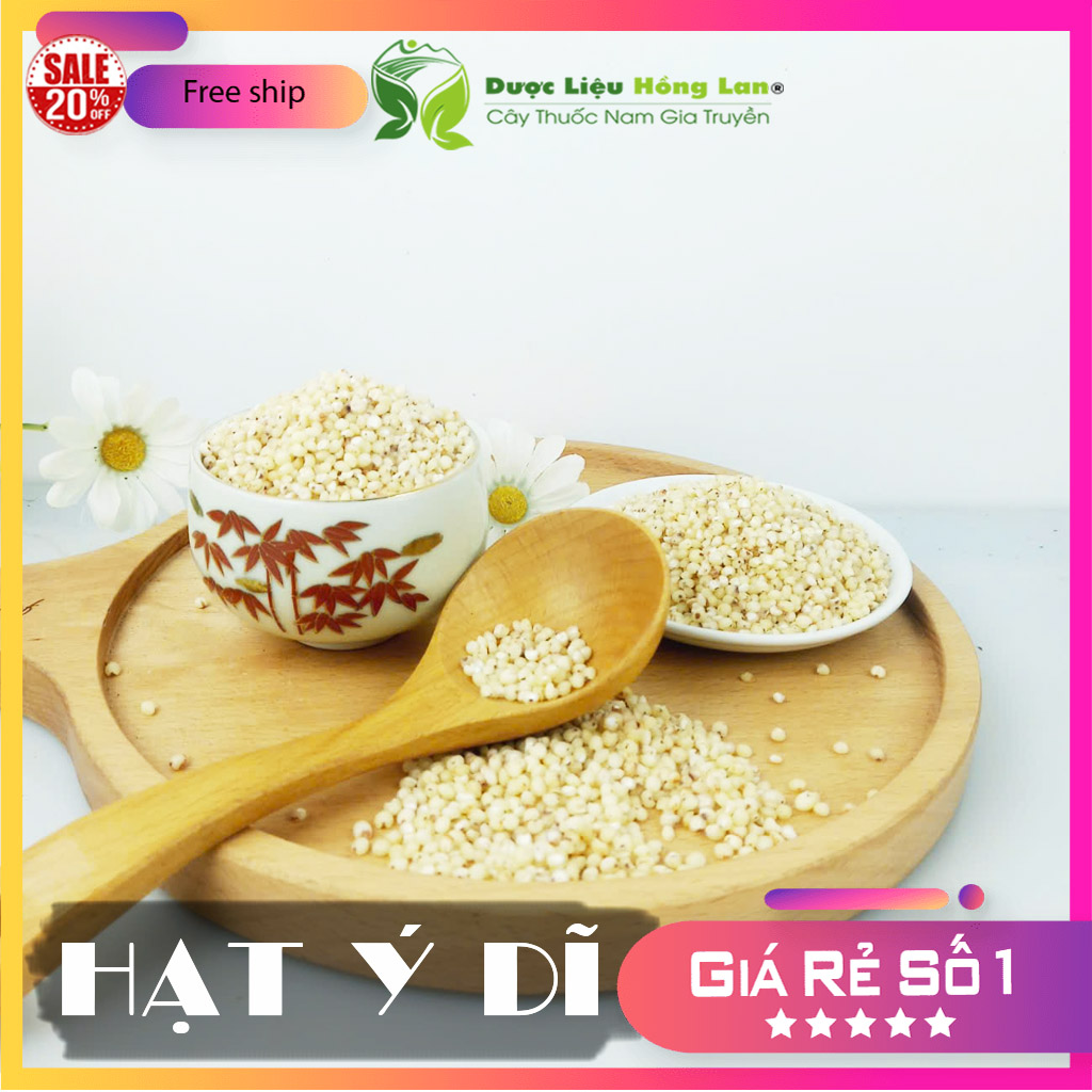 [FreeshipMAX] ✅[THƯỢNG HẠNG] 100g Hạt Ý Dĩ đẹp loại 1 - (Hàng chính hãng)