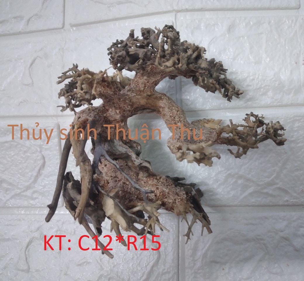 Lũa Bonsai  trang trí bể Thủy Sinh đẹp (lũa ghép)