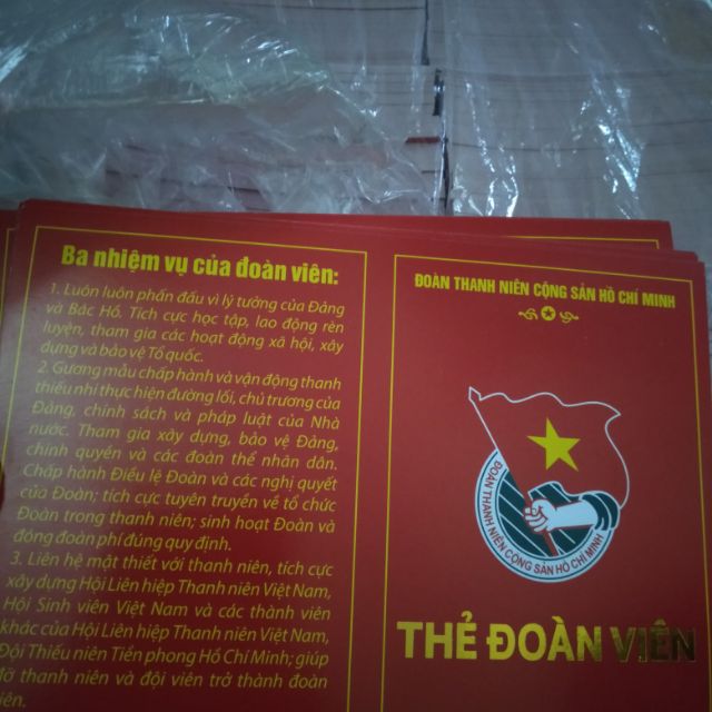 Thẻ đoàn viên ( 50 cái)