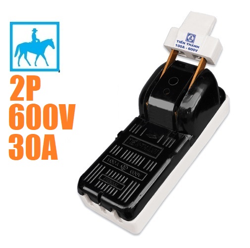 [HCM]Cầu Dao Điện Cao Cấp 2 Pha 2P 30A 600V