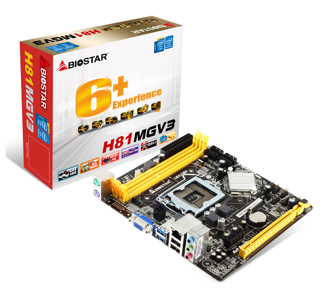 main H81MGV3 - V8