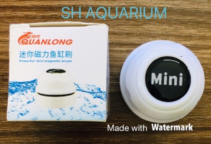 [HOÀN TIỀN 10%]Nam châm cọ bể cá cảnh, bể thủy sinh QuanLong Mini
