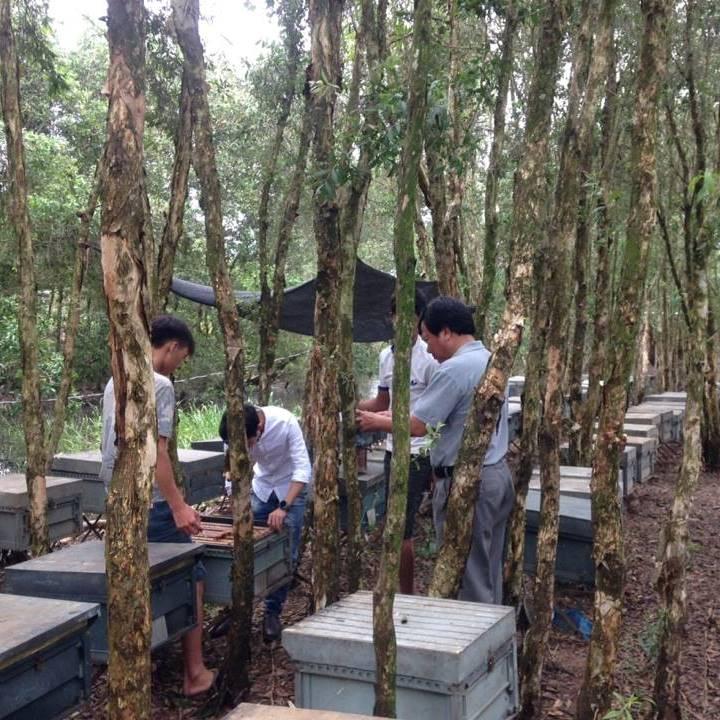 [HCM]5 lít mật nhãn phúc tùng