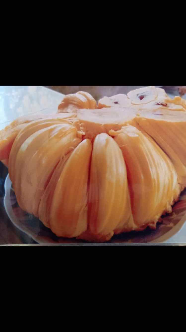 Cây giống mít Thái ruột đỏ