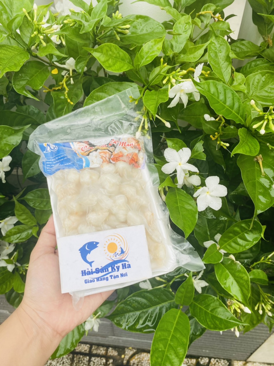[GIAO NHANH 2H HCM] Sỉ 1Kg Đùi Cua Cồ (đã bóc sẵn)
