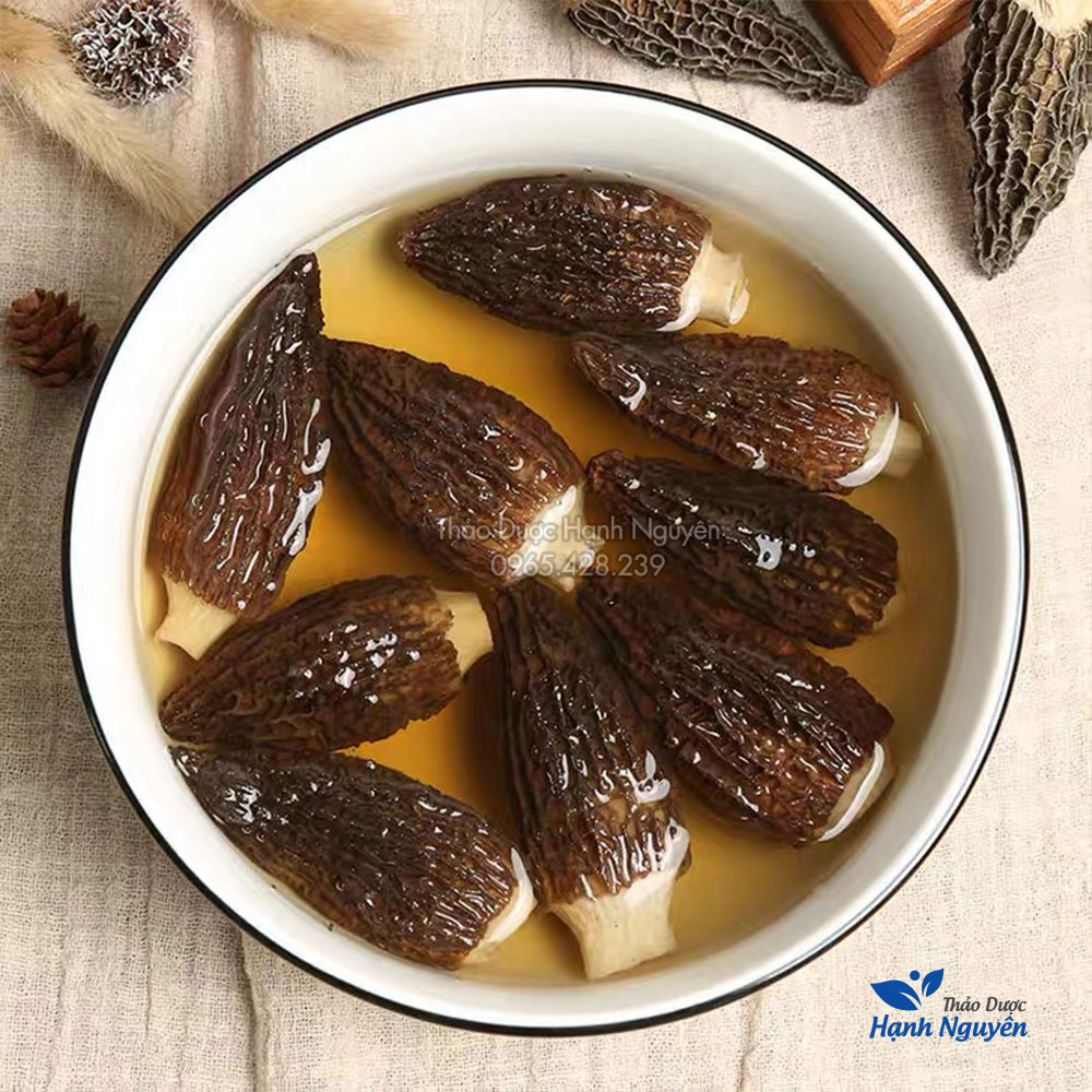 Nấm bụng dê 50g, nấm quý nấu canh, lẩu nấm, nấm dưỡng sinh, bổ dưỡng, tăng cường sức khỏe