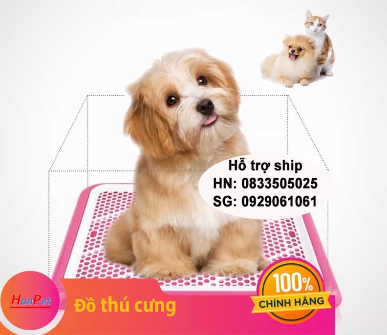 Hanpet - Khay vệ sinh cho chó (màu ngẫu nhiên) + Tặng 3 tấm lót chuồng, sàn xe / khay hứng phân thú cưng / khay đi vệ sinh chó / hướng dẫn chó đi vệ sinh / phụ kiện vệ sinh thú cưng / mâm hứng kít chó