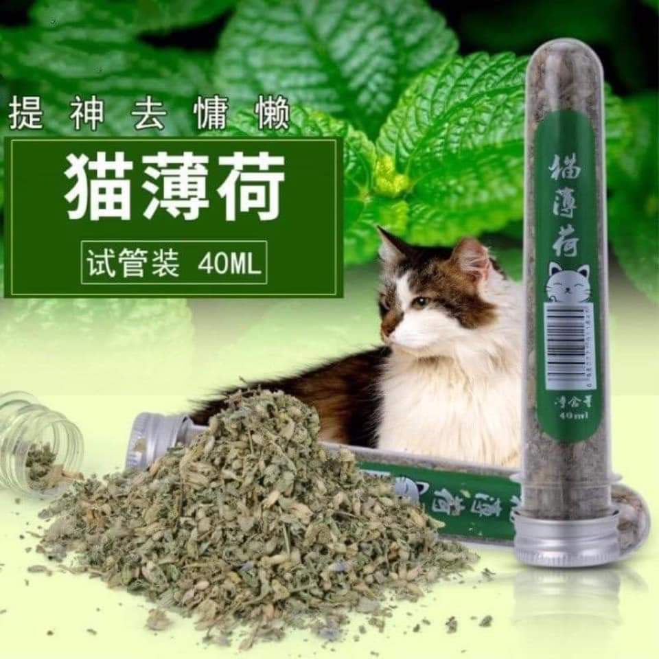 [Hoàn Tiền 10%] Ống Canip Cỏ Bạc Hà Khô Cho Mèo