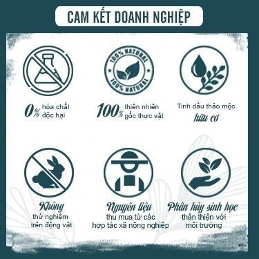 Nước rửa chén hữu cơ Greenhome - can 4kg