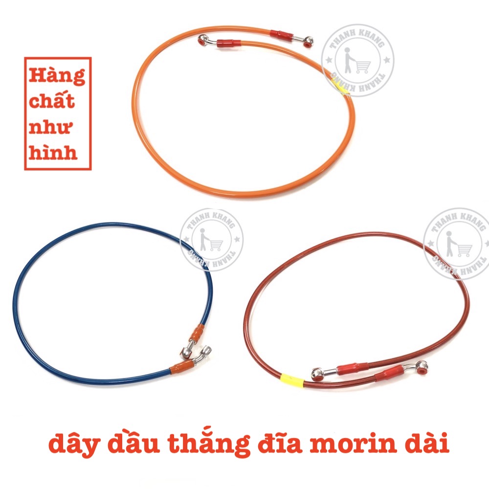 [HCM]dây dầu thắng đĩa morin thanh khang