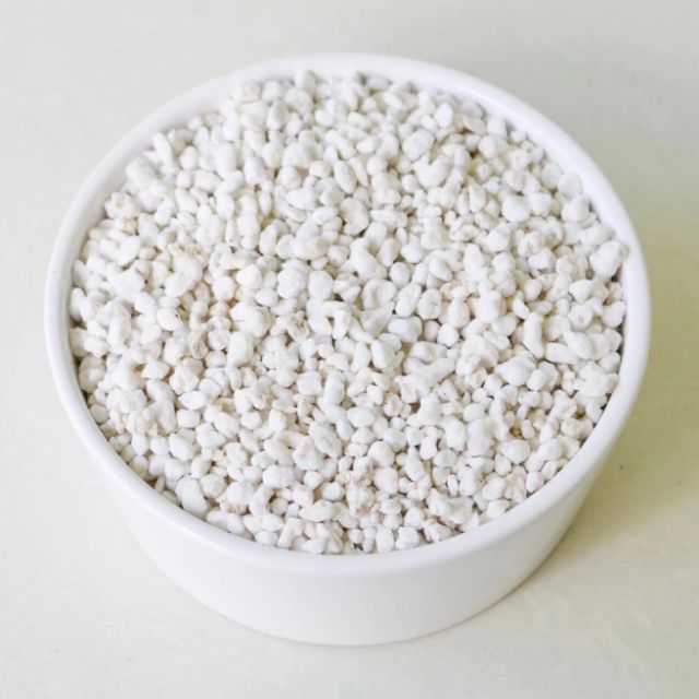 [HCM]Đất ấp trứng bò sát 1kg