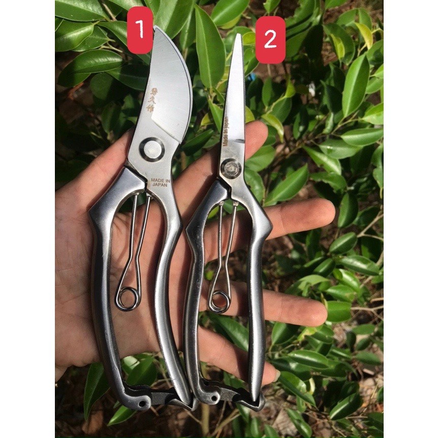 Kéo cắt tỉa cành cây thép trắng - hàng bãi