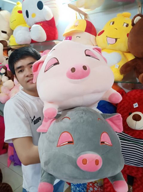 GẤU BÔNG HEO ĐÁNG YÊU
