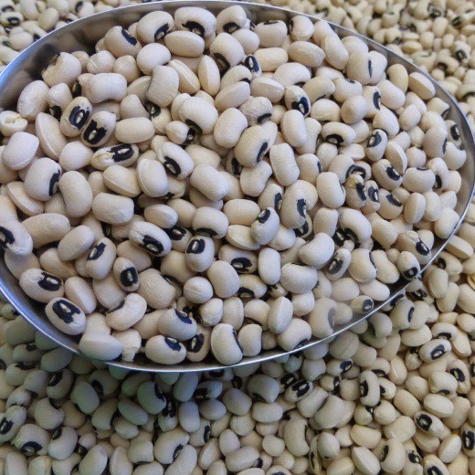 Đậu trắng mắt cua (Đậu mắt đen) 500Gr