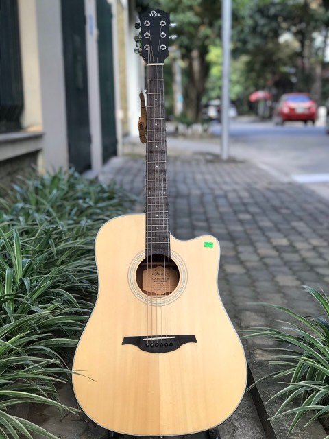 Đàn Guitar Acoustic Rex RD1C-NM Cao Cấp