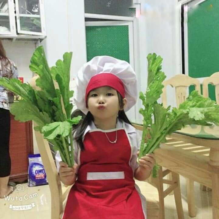Bộ đầu bếp, tạp dề cho bé kèm nón vải