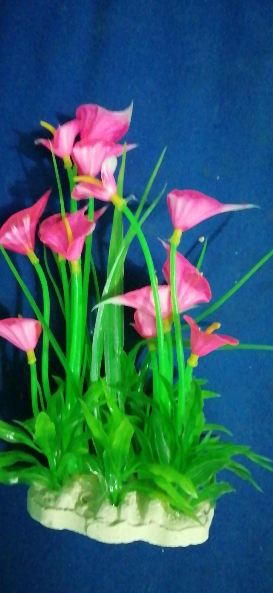 Cây Cỏ hoa trang trí bể cá nhiều màu 20cm