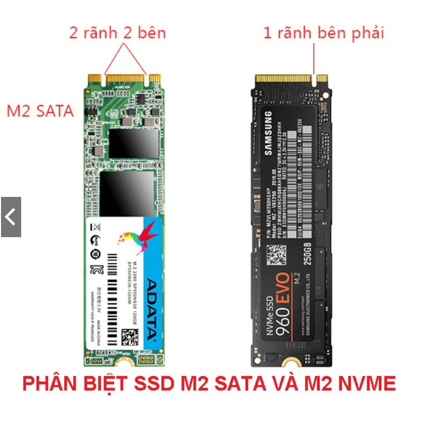 [HCM]Card chuyển đổi PCI-E - X4 - X16 sang SSD M.2 NVMe (M2 PCI-E)